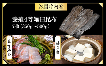 養殖4等羅臼昆布7枚セット(350g~500g) | 昆布 北海道