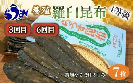 年6回!羅臼昆布の出汁比べ定期便(等級比較) | 昆布 北海道