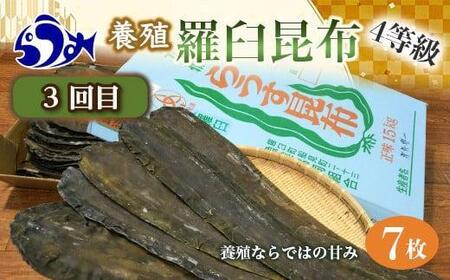 年3回!羅臼昆布の出汁比べ定期便(等級比較) | 昆布 北海道