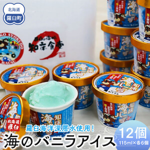 知床 海のバニラ 北海道 羅臼 海洋深層水 塩 世界自然遺産 冷凍 デザート アイスクリーム 乳製品 生乳 北海道産 生乳 アイス 知床食堂 生産者 支援 応援 4,250円