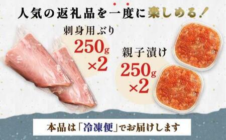 【2024年11月発送】【先行予約】親子漬け・ぶり刺身セット1kg（各250g×2）小分け いくら イクラ 秋鮭 さけ サケ 醤油漬け しょうゆ漬け ブリ 鰤 北海道 国産 羅臼 海鮮 魚介 ご飯のお供 生産者 支援 応援