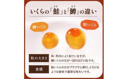 【2024年10月発送】知床羅臼産 鮭いくら醤油漬 (500g) パック イクラ しょうゆ漬け サケ さけ しゃけ シャケ 海鮮丼 魚介 魚卵 北海道 生産者 支援 応援