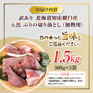 訳あり 知床羅臼産 天然 ぶり 切り落とし（加熱用）1.5kg（500g×3袋）｜魚　ぶり