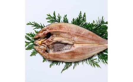 北海道産 真ほっけ開き 一夜干し 2枚セット ほっけ 魚醤干し 北海道 知床 羅臼町 生産者 支援 応援