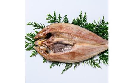 北海道産 真ほっけ開き 一夜干し 5枚セット ほっけ 魚醤干し 北海道 知床 羅臼町 生産者 支援 応援