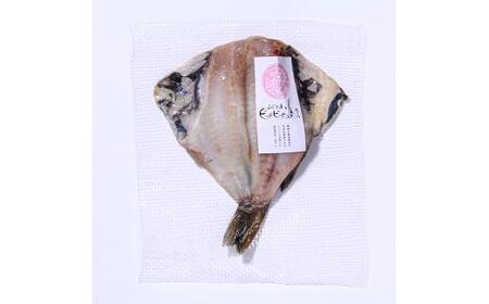 北海道産 そい魚醤干し 10枚セット 北海道 知床 羅臼町 生産者 支援 応援