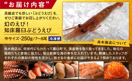 幻のぶどうえび（中・250g /7～8尾） エビ 海老 ブドウエビ 羅臼町 北海道 魚介類 魚介 海産物 冷凍 生産者 支援 応援