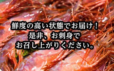 幻のぶどうえび（中・250g /7～8尾） エビ 海老 ブドウエビ 羅臼町 北海道 魚介類 魚介 海産物 冷凍 生産者 支援 応援