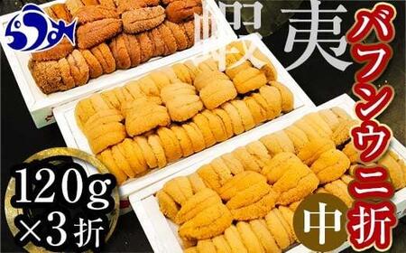 【先行予約】北海道知床羅臼産 天然エゾバフンうに（中）うに折  120g×3枚　2025年1月中旬から発送