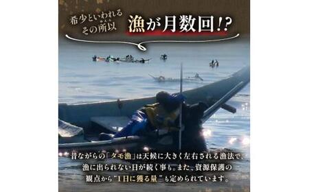 【先行予約/2026年1月より発送】羅臼産 塩水うに（特上） 200g（100g×2枚）うに