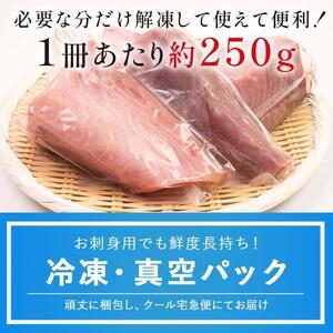 【2026年1月発送】北海道 知床羅臼産 天然鰤刺身 500g (250g×2パック)  ﾌﾞﾘﾌﾞﾘﾌﾞﾘﾌﾞﾘ
