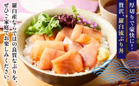 【2026年2月発送】北海道 知床羅臼産 天然ぶり刺身 2kg (250g×8パック) ぶり