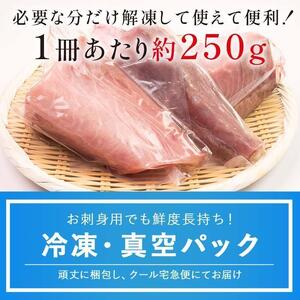【2026年2月発送】北海道 知床羅臼産 天然ぶり刺身 2kg (250g×8パック) ぶり