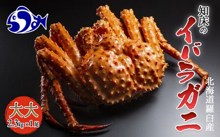 イバラがに内子の塩漬けと外子の醤油漬けセット F21m 363 北海道羅臼町 ふるさと納税サイト ふるなび