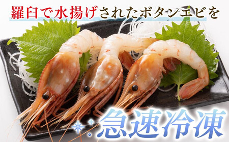 知床羅臼ボタンエビ(大) 500g(250g×2)生産者 支援 応援