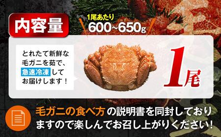 【先行予約/2026年4月発送開始】2026年産　ボイル冷凍毛ガニ　大１尾（600～650g）