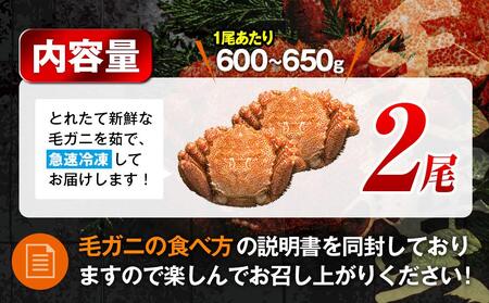 【先行予約/2026年4月発送開始】2026年産　ボイル冷凍毛ガニ　大２尾（600～650g）