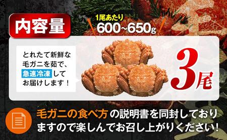 【先行予約/2026年4月発送開始】2026年産　ボイル冷凍毛ガニ　大３尾（600～650g）