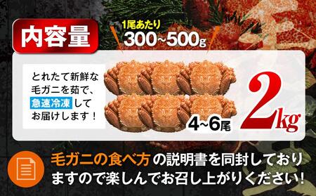 【先行予約/2026年4月発送開始】2026年産　ボイル冷凍毛ガニ　２kg　300g～500g　4～6尾