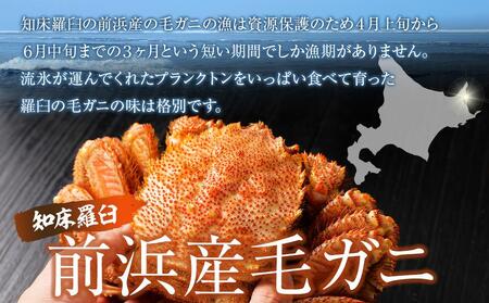 【先行予約/2026年4月発送開始】活毛ガニ 大1尾(600g~650g前後)