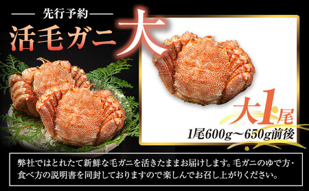 【先行予約/2026年4月発送開始】活毛ガニ 大1尾(600g~650g前後)