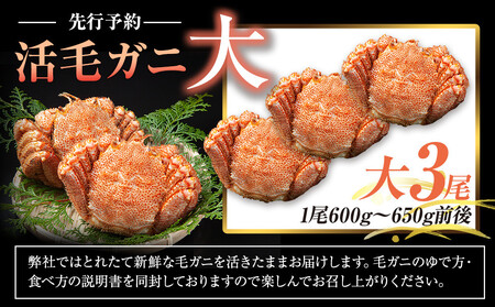 【先行予約/2026年4月発送開始】活毛ガニ　大３尾（600g～650g前後）
