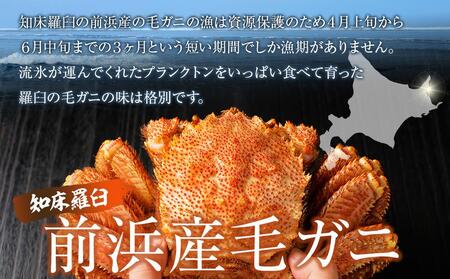 【先行予約/2026年4月発送開始】活毛ガニ 1kg 300g~500g 2~3尾