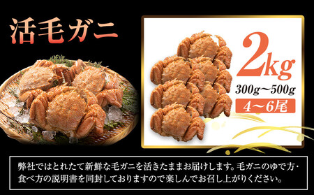 【先行予約/2026年4月発送開始】活毛ガニ 2kg 300g~500g 4~6尾