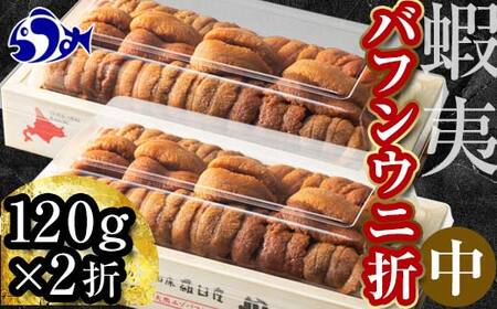 知床羅臼産 うに折(中)240g