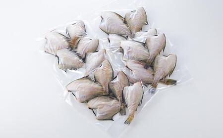 訳あり 宗八かれい一夜干し 250g入×4袋