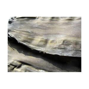 羅臼昆布 養殖 1等 270g | 昆布 北海道