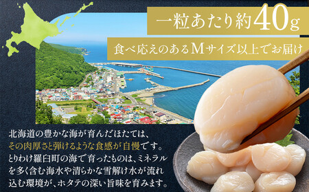 北海道産 ほたて Mサイズ以上 500g ほたて