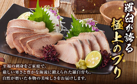 羅臼産刺身用ブリ　1.5kg