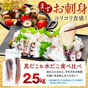 知床羅臼産　冷凍煮だこ(2本)2.5kg ｜タコ　北海道