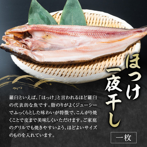 羅臼の魚 おすすめセット(1) 魚 切り身 切身 海鮮 福袋 家族 たら さくらます ほっけ カレイ こまい 一夜干し 粕漬け F21M-426