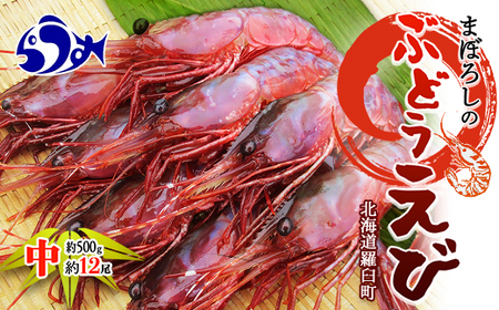 知床羅臼産北海しまえび500g F21m 317 北海道羅臼町 ふるさと納税サイト ふるなび 知床羅臼産北海しまえび500g F21m 317 北海道羅臼町 ふるさと納税サイト ふるなび