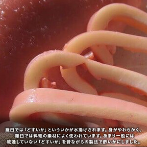 どすいかの1ぱい丸ごと酢いか｜羅臼　北海道