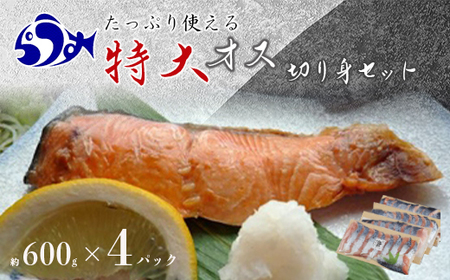 鮭山漬け 切身セット