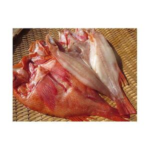 キンキ(めんめ)の一夜干し　大2枚セット｜羅臼産　一夜干し