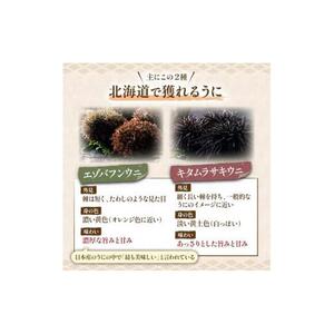 羅臼産 塩水うに（上） 200g（100g×2枚）うに