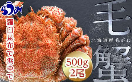 年内発送 北海道 知床 羅臼産毛がに 500g×2尾 毛ガニ 海産物 魚介類