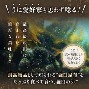 先行予約 羅臼産 折うに 120g 北海道知床羅臼産 天然 エゾバフンうに