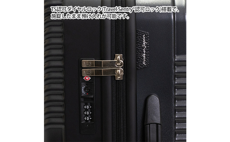 N700系typeA 東海道新幹線 モケットハードスーツケース MIDDLE No.5702277