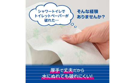 2ヵ月連続お届け 計144ロール エリエール シャワートイレのためにつくった吸水力が2倍 トイレットペーパー ダブル 25m 12R 6パック 計72ロール 防災 常備品 備蓄品 消耗品 日用品 送料無料 北海道 赤平市