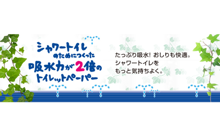 定期便 2ヵ月連続お届け エリエール ハーフサイズ 収納に便利 コンパクト 【少量3パック】 [アソートU]エリエール シャワートイレのためにつくった吸水力が2倍 トイレットペーパー ダブル 25m 12R 3パック 計36ロール