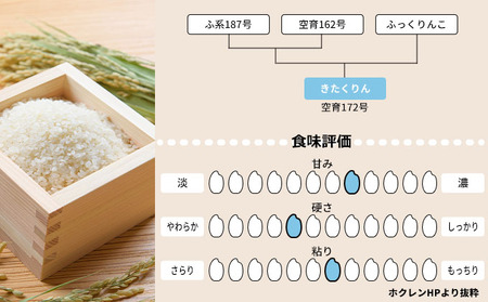 北海道赤平産 きたくりん 5kg 特別栽培米 【3回お届け】 精米 米 北海道 定期便