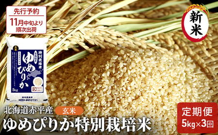 玄米 北海道赤平産ゆめぴりか特別栽培米5kg×3回お届け