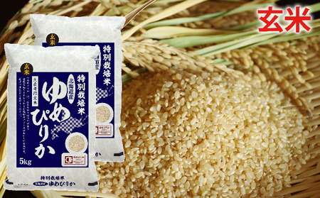 玄米 北海道赤平産ゆめぴりか特別栽培米5kg×2袋