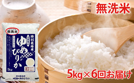 無洗米北海道赤平産ゆめぴりか特別栽培米5kg×6回お届け