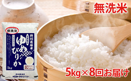 無洗米北海道赤平産ゆめぴりか特別栽培米5kg×8回お届け